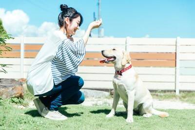 犬の『ドッグラン』でやってはいけない絶対NG行為7選　間違った行動がトラブルを引き起こすことも…