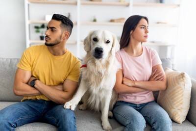 犬が悲しむ『飼い主の絶対NG行動』7選　今すぐに改善すべきタブー行為とは？