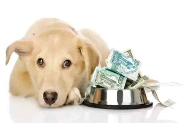 『犬にかかる費用』とは？節約しすぎてはいけない出費や必要なお金の内訳まで