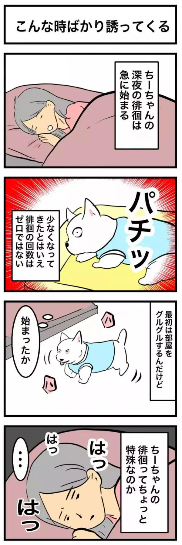 ちーちゃんですけどもっ【第360話】「こんな時ばかり誘ってくる」