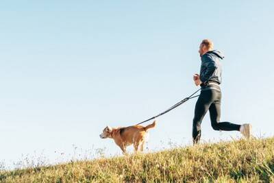 犬が散歩中に『走り出す』ときの理由5つ　急にダッシュする心理や考えられるトラブルまで
