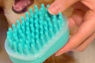 ブラシを噛みたがる子犬→『2個目のブラシ』を出してみた結果…大混乱した『表情』に5万いいね「どっち噛もうか悩んでるｗ」「顔が最高すぎる」