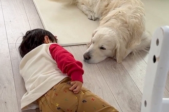 3歳の男の子が『大型犬と一緒に寝転んだ』結果→『何をするのかな』と見ていたら…尊すぎる日常に2万いいね「可愛いと可愛いが可愛いことしてる」
