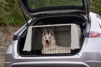 犬とのドライブに持っていきたい『便利グッズ』4選　安全性に優れたおすすめのペット用品とは？