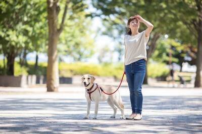 犬の『リード』を使用するときの絶対NG行為5選　今すぐ見直すべき飼い主の誤った認識とは？
