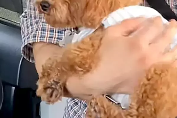 娘が彼氏を連れてきた結果→お別れの時、犬が『行かないで』と訴えて…思わず連れて帰りたくなる光景に絶賛「可愛すぎ」「娘さん妬いちゃうｗ」