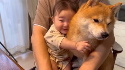 犬が『抱っこして』とお願いしてきたので抱えたら、一緒にいた赤ちゃんが…大好きが止まらない『熱烈すぎる愛情表現』に39万再生の大反響