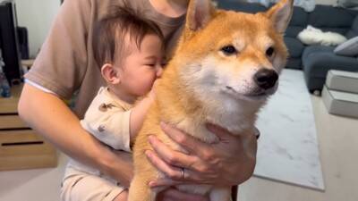 犬が『抱っこして』とお願いしてきたので抱えたら、一緒にいた赤ちゃんが…大好きが止まらない『熱烈すぎる愛情表現』に39万再生の大反響