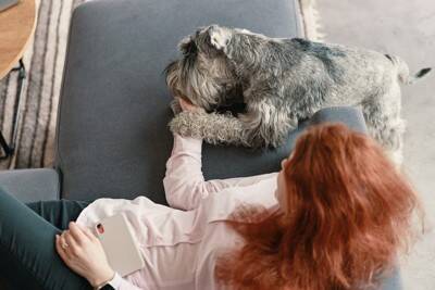 犬が前足で『ちょいちょい』してくる理由6つ　主な心理や意外と知らない本音まで