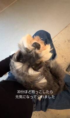 雷が鳴ったら、臆病な犬が…まるでこの世の終わりのような『守ってあげたくなる光景』が307万再生「胸がギュッとなった」「抱きしめたい」