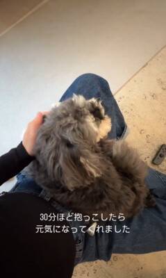 雷が鳴ったら、臆病な犬が…まるでこの世の終わりのような『守ってあげたくなる光景』が307万再生「胸がギュッとなった」「抱きしめたい」