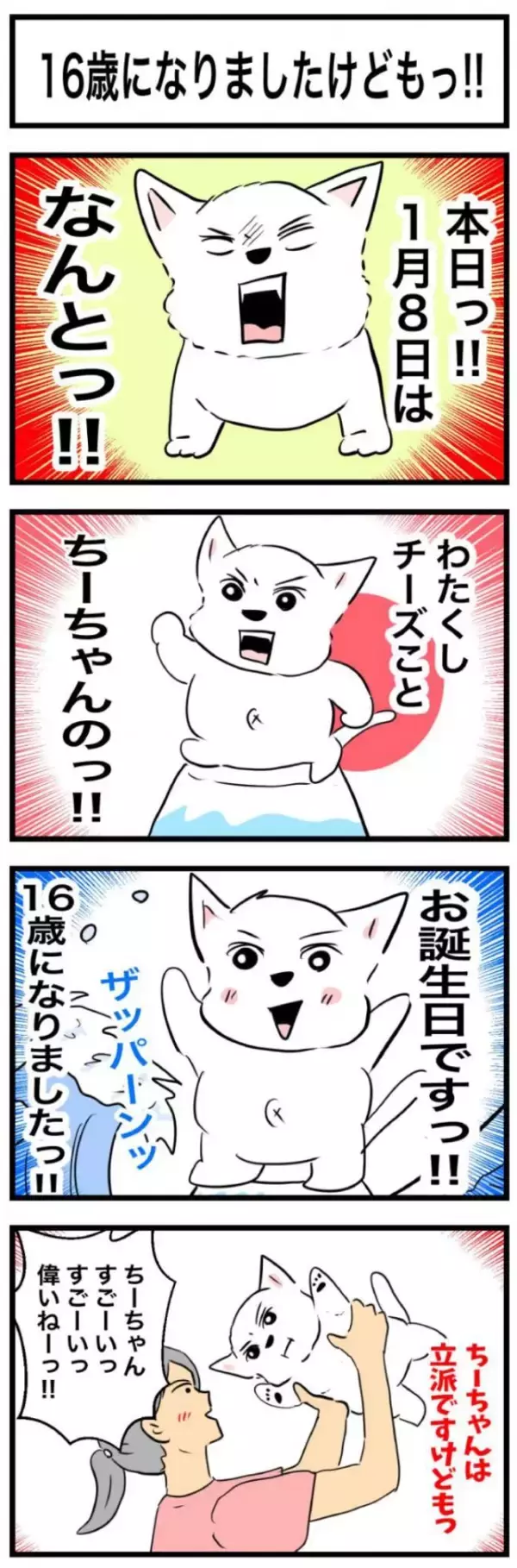 ちーちゃんですけどもっ【第290話】「16歳になりましたけどもっ！！」