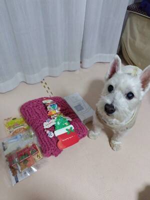 ちーちゃんですけどもっ【第290話】「16歳になりましたけどもっ！！」