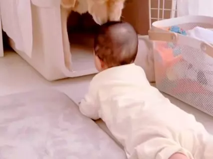 赤ちゃんがハイハイで『大型犬のクレートに近付いた』結果→戸惑ってしまい…困り果てる光景が可愛いと反響「配慮が素晴らしい」「視線たまらん」