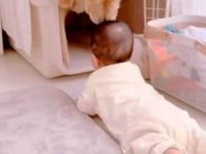 赤ちゃんがハイハイで『大型犬のクレートに近付いた』結果→戸惑ってしまい…困り果てる光景が可愛いと反響「配慮が素晴らしい」「視線たまらん」