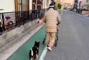 『近所のおじいちゃん』が大好きな犬→一緒に『シニアカー』に乗って…素敵すぎる『ふたりの時間』が38万再生「心が暖かくなる」「かわいい」