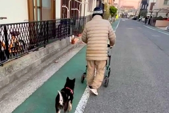 『近所のおじいちゃん』が大好きな犬→一緒に『シニアカー』に乗って…素敵すぎる『ふたりの時間』が38万再生「心が暖かくなる」「かわいい」