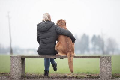 犬が『空気を読んでいる』ときに考えていることとは？人間のように気を遣ったりするの？