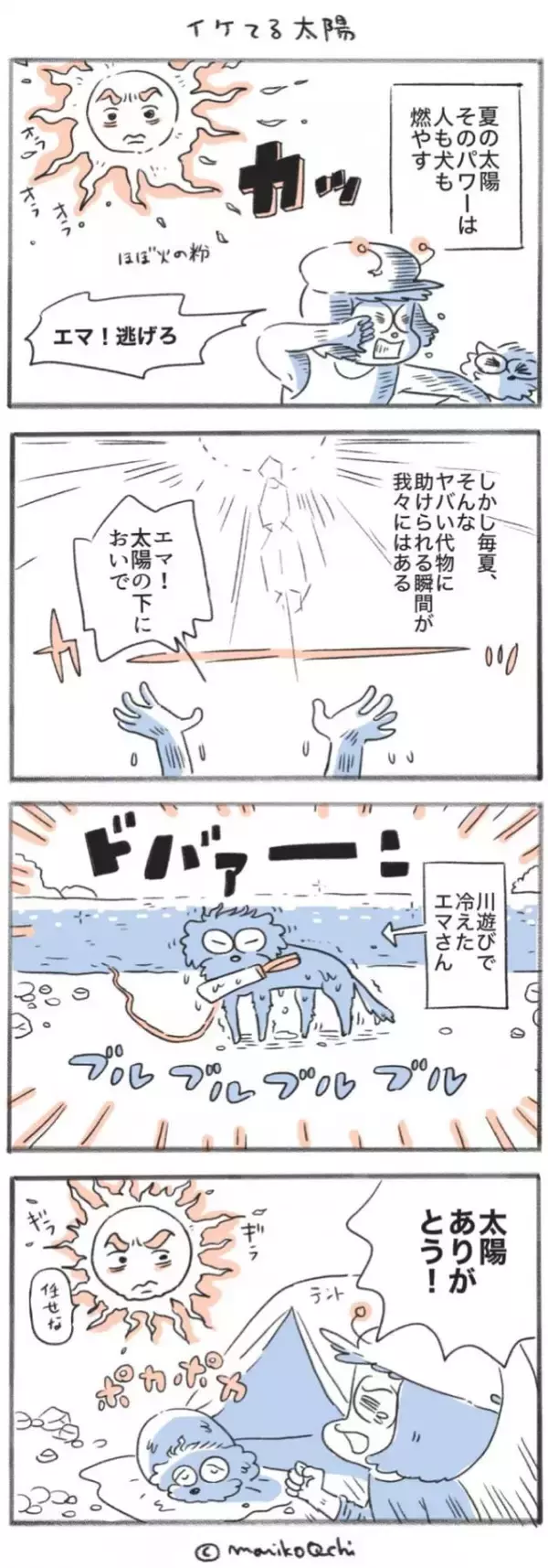 犬と暮らせば【第546話】「イケてる太陽」