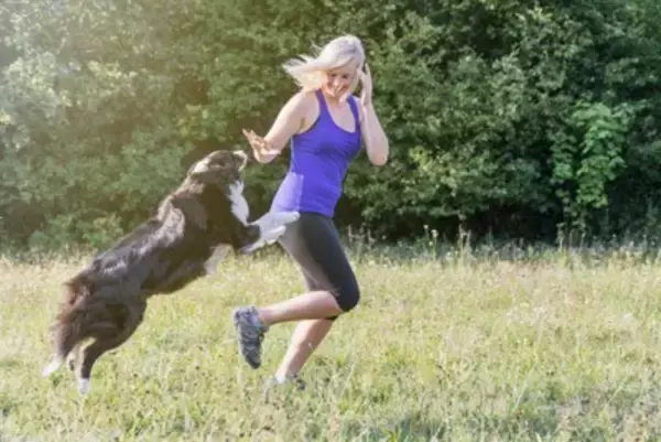 犬が飼い主に『突進』する3つの理由　体当たりをしてくるのはなぜ？やめさせるべき？