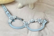 奮発して『1万8000円のハーネス』を犬につけた結果→『可愛い柄だな』と思ったら…『まさかの展開』に爆笑「一生懸命見せてくれるの可愛いｗ」