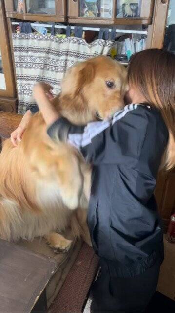 The result of hugging a large dog… 1.66 million views of the “unexpected commitment” that I absolutely cannot give up on is too cute “I’m giving up …