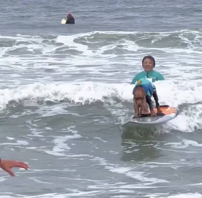 犬が『ドッグサーフィンの世界大会』に初挑戦した結果…見事メダルを獲得したプレーが最高すぎると話題「本当にすごい」「感動をありがとう」