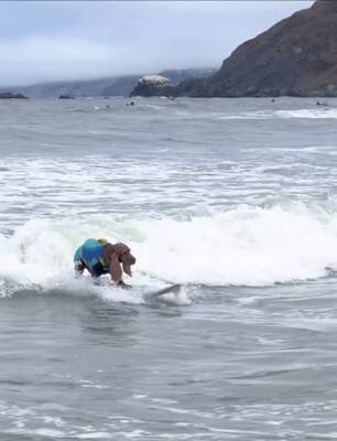 犬が『ドッグサーフィンの世界大会』に初挑戦した結果…見事メダルを獲得したプレーが最高すぎると話題「本当にすごい」「感動をありがとう」