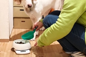 犬を迎える前に『知っておくべきこと』3つ　愛犬を不幸にさせないために必要な心構えとは？