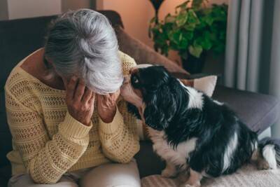 犬が飼い主を『心配』しているサイン５選　愛犬は人間の体調不良や悲しみがわかる？