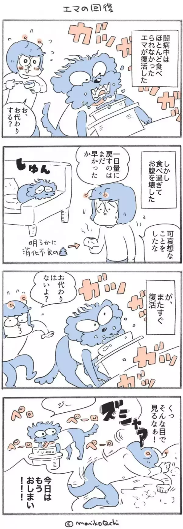 犬と暮らせば【第542話】「エマの回復」