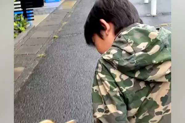 朝5時、『大型犬のリードを持ちたい』と言う男の子とお散歩へ→ワンコも『大丈夫？』と心配して…素敵な光景に2万いいね「目を合わせるの尊い」