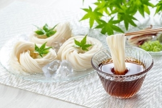 犬は『そうめん』を食べても大丈夫？正しい与え方や一日の適正量まで解説