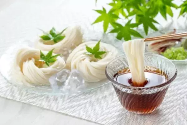 犬は『そうめん』を食べても大丈夫？正しい与え方や一日の適正量まで解説