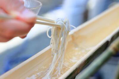 犬は『そうめん』を食べても大丈夫？正しい与え方や一日の適正量まで解説