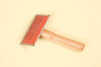 犬に使っちゃダメな『ブラシ』3つ　思わぬリスクを招く形状やお手入れのポイントまで