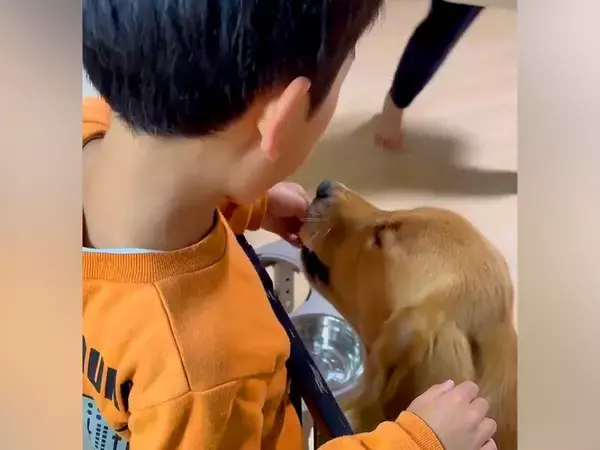 ２人の小学生が『大型犬と一緒に育った』結果→本当の兄弟のようで…心温まる『愛おしい光景』に絶賛の声「大切な家族の一員」「気持ちが和んだ」