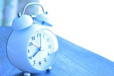 犬が『一日中寝てしまう』理由6選　主な原因や規則正しい生活のためにできることまで