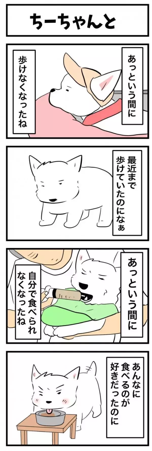 ちーちゃんですけどもっ【第369話】「ちーちゃんと」