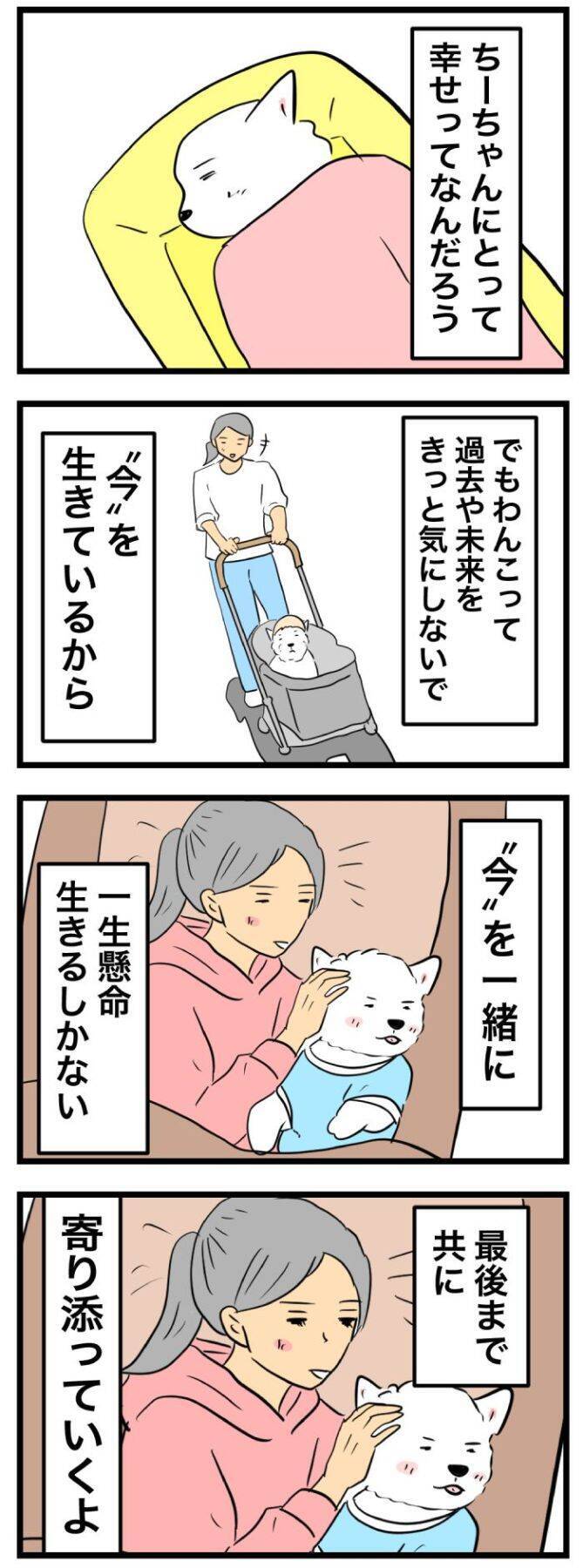 ちーちゃんですけどもっ【第369話】「ちーちゃんと」