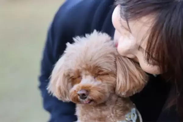 犬が嫌がる『スキンシップ』５選　愛犬が不快に感じる触り方や正しい接し方まで