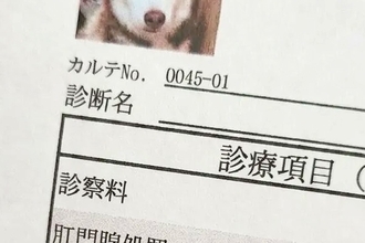 大嫌いな『肛門腺絞り』をする大型犬→終わった後『カルテ用の顔写真』を撮影され…まさかの『グレてしまった表情』に8万いいね「ブチギレで草」