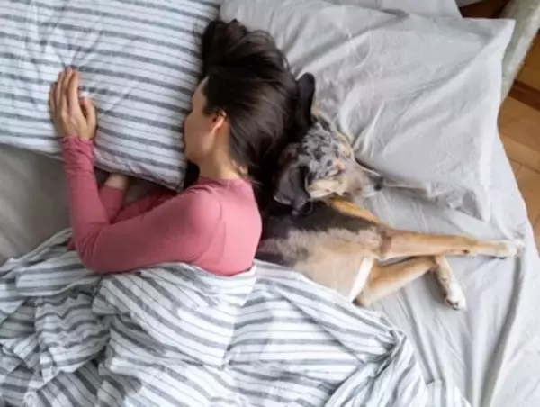 愛犬が『夢に出てくる』理由とは？夢占いではどんな意味をもつの？飼い主の心理状態まで