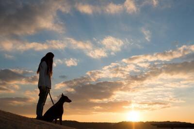 愛犬が『夢に出てくる』理由とは？夢占いではどんな意味をもつの？飼い主の心理状態まで