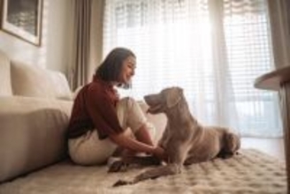 犬からの『大好きアピール』５選　見逃したくない愛情サインや好かれるためのポイントまで
