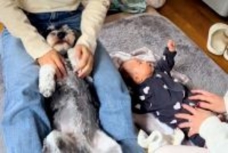 赤ちゃんと犬に『手遊び歌』をやってみた結果…ワンコとは思えない『可愛いが渋滞している光景』が41万再生「されるがままｗ」「幸せな空間」