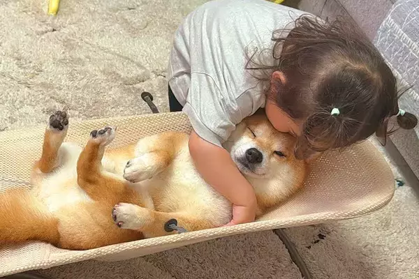2歳の女の子が『バウンサーに乗った犬』を見た結果→まるで『赤ちゃん』のように…家族愛に溢れた光景が24万再生「素敵すぎる」「幸せ感じる」
