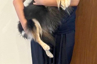 『なんだかうちのチワワ思ったよりデカいな…』ママに抱っこされるチワワ→絶対に小型犬には見えない『衝撃の光景』に1万いいね「存在感ｗｗ」