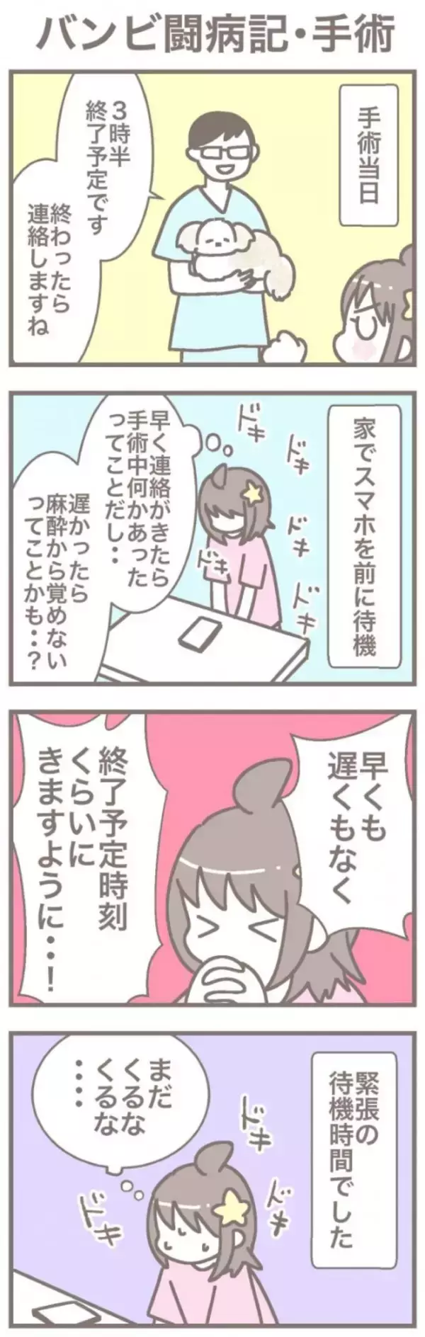 うちの王様にはどうしても抗えない【第377話】「バンビ闘病記・手術」