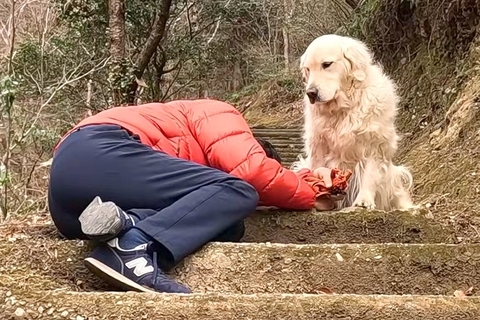 散歩中、大型犬の飼い主が『倒れたフリ』をした結果→必死に起こそうとして…思わず涙する『健気な行動』に反響「一生懸命助けようと…」「感動」